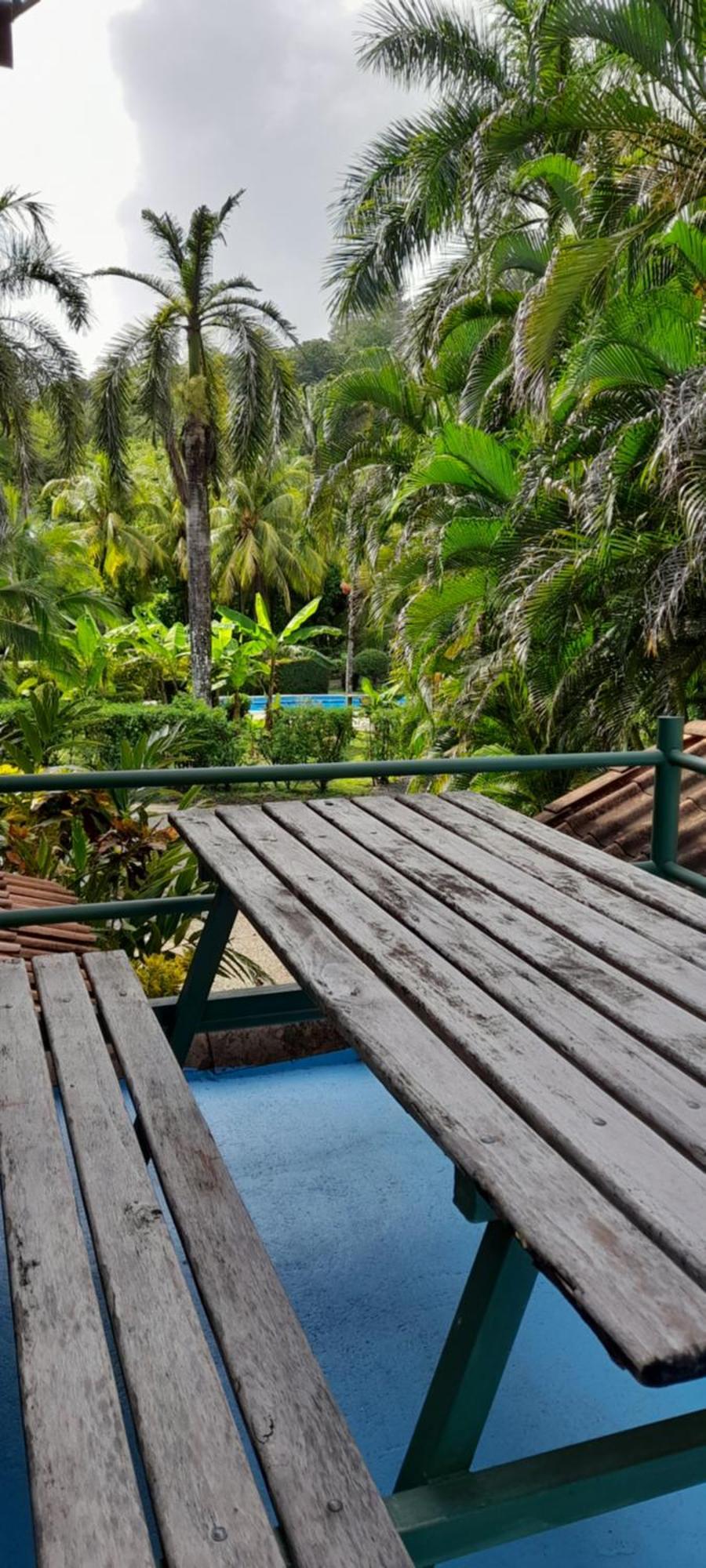 Mal Pais Surf Camp Hotel Playa Santa Teresa  Exterior photo